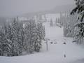 Photos Mt. Hood Meadows