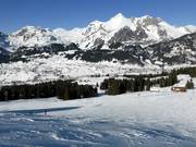 View over the Wildhaus ski area
