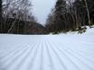 Slope preparation Asia – Slope preparation Sahoro