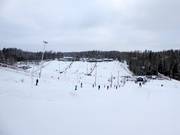 View over the Talma ski area