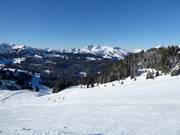 Laouissalet slope (Les Diablerets)