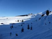 View of the slopes at Sender Express