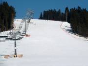 View of the intermediate slope