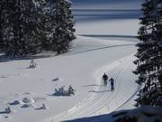 Skiing is often done in the classic style