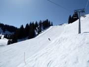 Steinboden slope