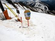 Freeride Area
