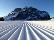 First-class slope grooming in the Civetta ski area
