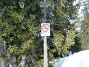 Entering the forest is prohibited
