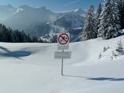 It’s your forest too – no riding through the forest