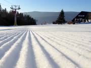 Very good slope grooming in Velká Úpa