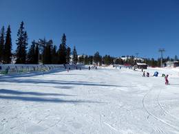Ruka