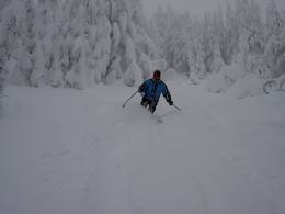 Mt. Bachelor