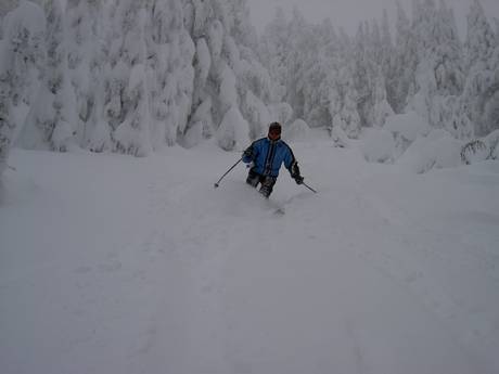 Slope offering Oregon – Slope offering Mt. Bachelor