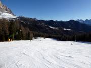 Intermediate slope Cristelin