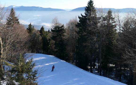 Hohenbogenwinkel: size of the ski resorts – Size Hohenbogen – Neukirchen bei Hl. Blut