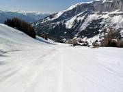 Planedri slope