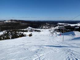 Ruka