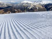 Fresh grooves in the snow