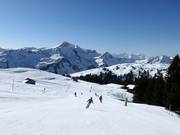 Hohes Licht descent