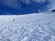 Ski route 1 Golden Powder