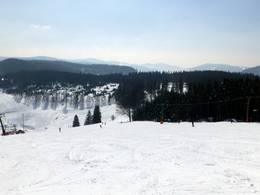 Muggenbrunn