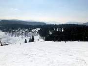 Winkellift descent