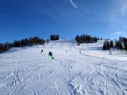Family slope