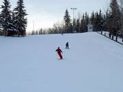 Snow Flake slope