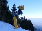 Snowmaking at Hohenbogen