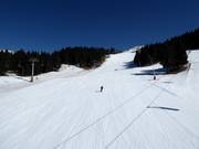 Ror slope
