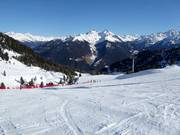 Seenock Sunny Slope