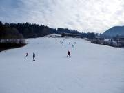 Slope at the drag lift