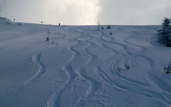 Ski resorts for advanced skiers and freeriding Silberregion Karwendel – Advanced skiers, freeriders Kellerjoch – Schwaz