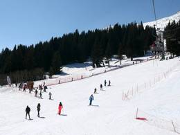 Vitosha/Aleko – Sofia