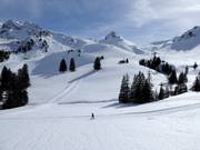Winter Dream Adelboden-Lenk