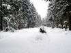 Cross-country skiing Arnsberg – Cross-country skiing Hunau – Bödefeld