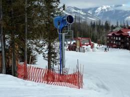 Fernie
