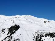 Horberg