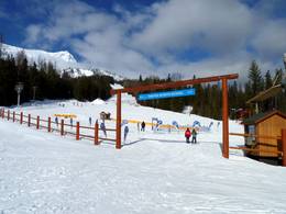 Fernie
