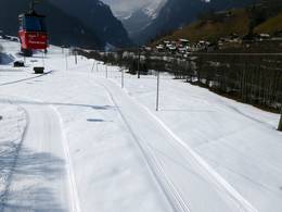 First – Grindelwald
