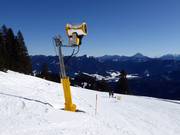 Snow cannon at the Schrödelstein run
