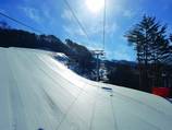Slalom Chair