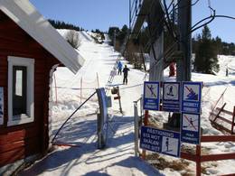 Gålågynten