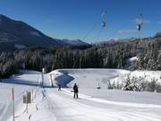 Halsegglift - T-bar