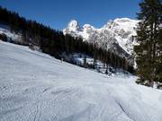 Valley run