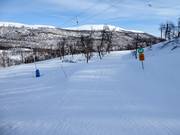 Easy slope in the Tänndalen ski area