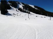 Easy slope at the Molly Hogan lift
