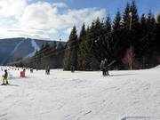 Rehberglift 1 - T-bar