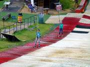 Alpine Snowsports Button Lift 1 - J-bar