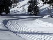 Trail in the Stubai Valley
